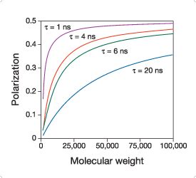 fluorescence polarization simulations